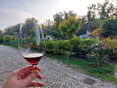 Green visit Podunavlje