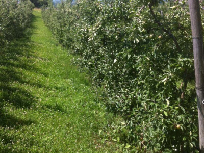 Porodica Mujčić iz Kozaruše