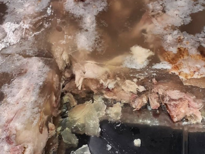 Rumenačka pihtijada 2024