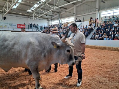 32. Jesenski međunarodni bjelovarski sajam