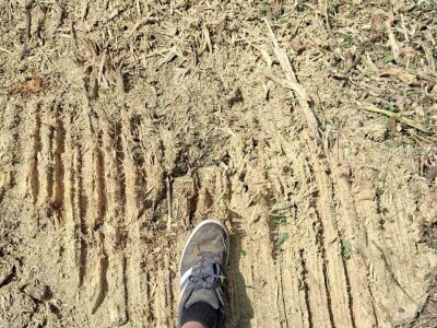 Uređenje zapuštenog zemljišta