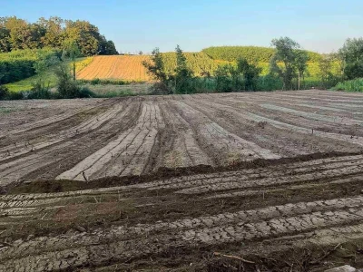 Uređenje zapuštenog zemljišta
