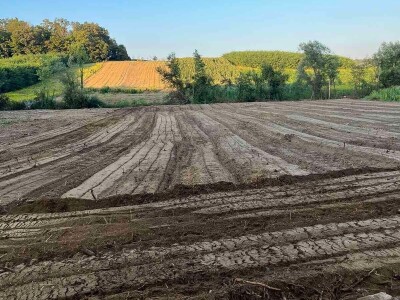 Uređenje zapuštenog zemljišta