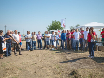 Victoria Logistic Dan polja suncokreta