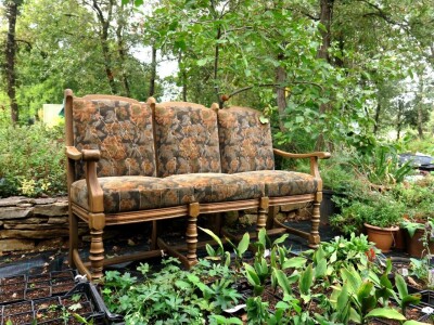 Victoria - ponos vlasnika Vrtlarije Kalići Davora Cetine