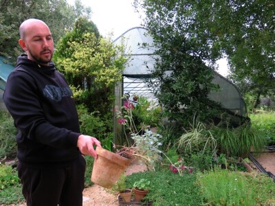 Victoria - ponos vlasnika Vrtlarije Kalići Davora Cetine