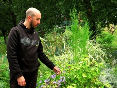 Victoria - ponos vlasnika Vrtlarije Kalići Davora Cetine