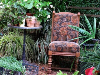 Victoria - ponos vlasnika Vrtlarije Kalići Davora Cetine