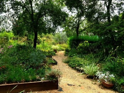 Victoria - ponos vlasnika Vrtlarije Kalići Davora Cetine