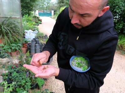 Victoria - ponos vlasnika Vrtlarije Kalići Davora Cetine