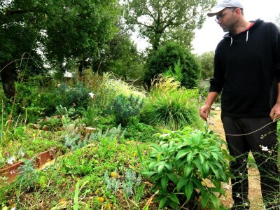 Victoria - ponos vlasnika Vrtlarije Kalići Davora Cetine