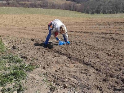 Vidjeli su velike gradove svijeta ali su ostali vjerni selu Vidjeli su velike gradove svijeta ali su ostali vjerni selu