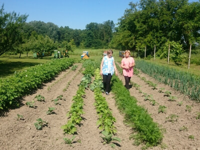Uz pčelinjak i lijepo uređeni vrt