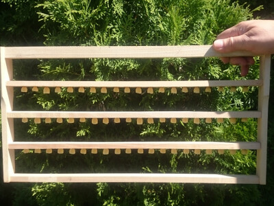 U osnove matičnjaka presađuju se mlade ličinke pčela