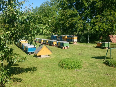 Uzoran pčelinjak obitelji Vidošić...