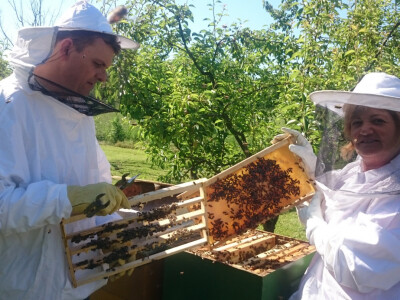Ima i matične mliječi i meda