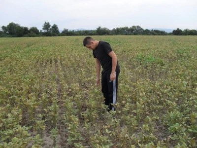 80 štete - a nema proglašenja nepogode?