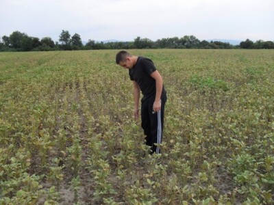 80 štete - a nema proglašenja nepogode?