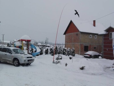 VIII SAVETOVANJE VOĆARA, Gruža, 26.01.2019.