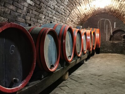 Vikend na pustari i landranje baranjskom planinom