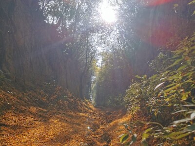 Vikend na pustari i landranje baranjskom planinom