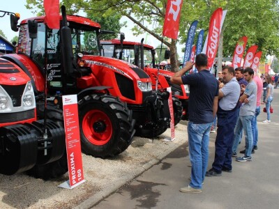 Vikend na sajmu u Novom Sadu