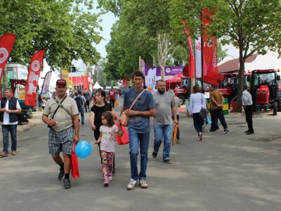 Vikend na sajmu u Novom Sadu