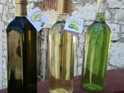 vino