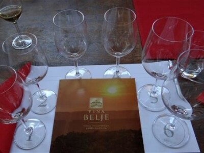 Vina belje - predstavljanje graševine berbe 2013.