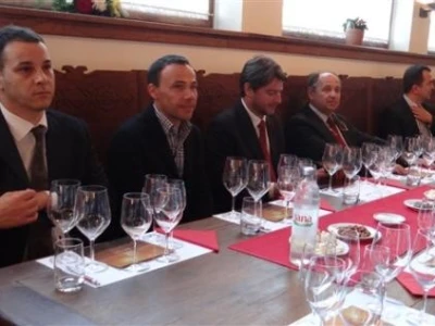 Vina belje - predstavljanje graševine berbe 2013.