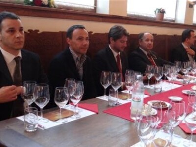 Vina belje - predstavljanje graševine berbe 2013.