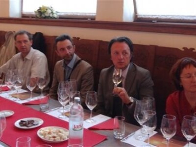 Vina belje - predstavljanje graševine berbe 2013.