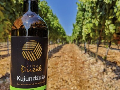 Vina Đuzel