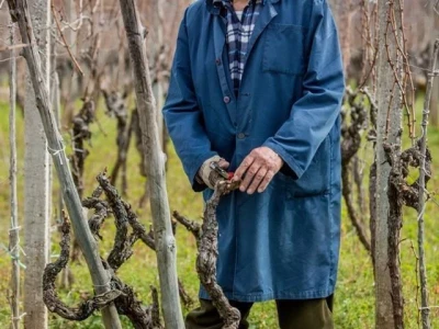 VIna Matić  - obiteljski brend  u kojem sudjeluju svi od najstarijih do najmlađih
