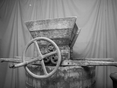 VIna Matić  - obiteljski brend  u kojem sudjeluju svi od najstarijih do najmlađih VIna Matić  - obiteljski brend  u kojem sudjeluju svi od najstarijih do najmlađih