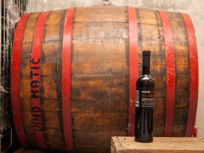 VIna Matić  - obiteljski brend  u kojem sudjeluju svi od najstarijih do najmlađih VIna Matić  - obiteljski brend  u kojem sudjeluju svi od najstarijih do najmlađih