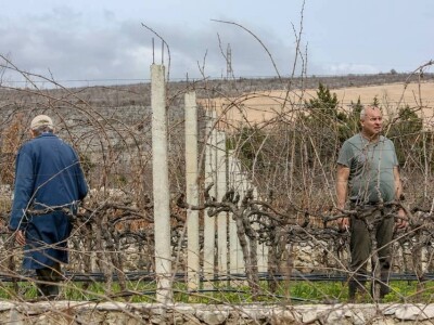 VIna Matić  - obiteljski brend  u kojem sudjeluju svi od najstarijih do najmlađih VIna Matić  - obiteljski brend  u kojem sudjeluju svi od najstarijih do najmlađih