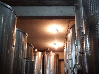 VIna Matić  - obiteljski brend  u kojem sudjeluju svi od najstarijih do najmlađih VIna Matić  - obiteljski brend  u kojem sudjeluju svi od najstarijih do najmlađih