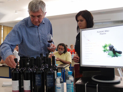 2. International Wine and Film Festival Požega