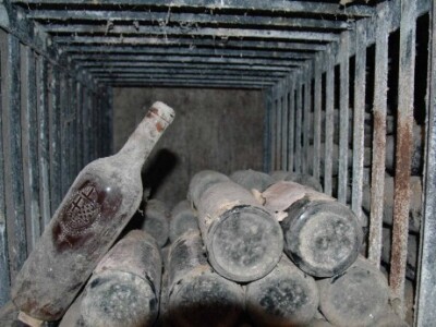 Vredna vina iz enoeke Karađorđevića Vredna vina iz enoeke Karađorđevića