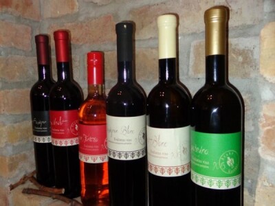 Poezija u boci Baranjskog vinogorja