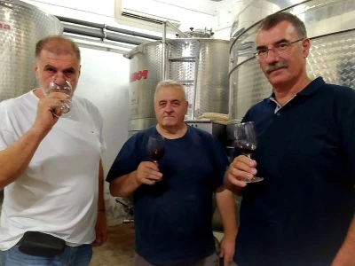 Kaštelanski vinari