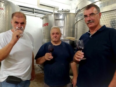 Kaštelanski vinari Kaštelanski vinari