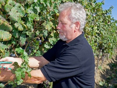 Franco Cattunar u obiteljskim vinogradima