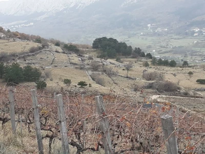 Vinarija Anton Katunar
