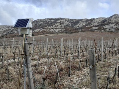 Vinarija Anton Katunar