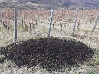 Vinarija Anton Katunar