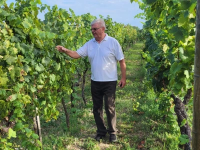 Vinarija Brzica i Hotel Vinotel