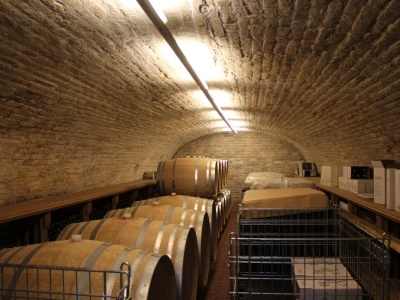 Vinarija Brzica i Hotel Vinotel