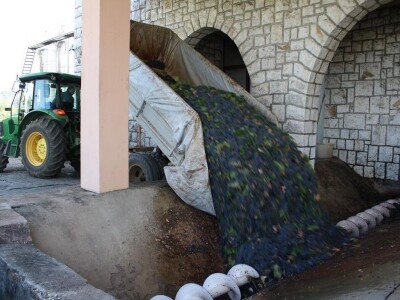 Vinarija Čitluk Vinarija Čitluk